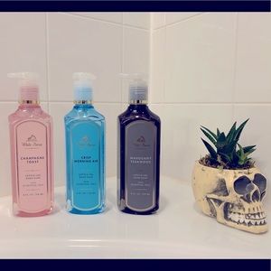 Bath & Body Works Hand Soap 🧼